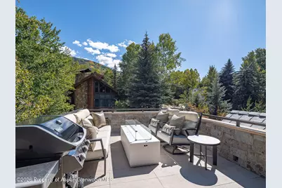 1154 E Cooper Avenue #Unit B, Aspen, CO 81611 - Photo 36