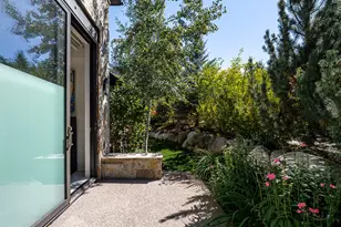 1154 E Cooper Ave, Aspen, CO 81611 - Photo 14