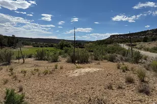4530 Horse Canyon Rd, De Beque, CO 81630 - Photo 16