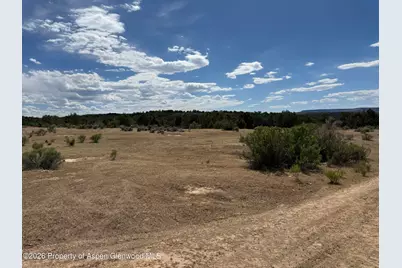 4530 Horse Canyon Road, De Beque, CO 81630 - Photo 12