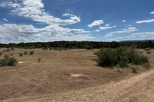 4530 Horse Canyon Rd, De Beque, CO 81630 - Photo 12