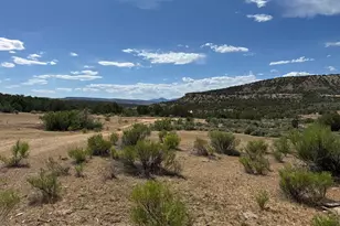 4530 Horse Canyon Rd, De Beque, CO 81630 - Photo 10