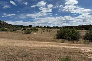 4530 Horse Canyon Rd, De Beque, CO 81630 - Photo 14