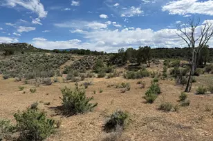 4530 Horse Canyon Rd, De Beque, CO 81630 - Photo 18