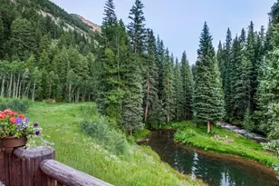 27 & 33 Fall Creek, Aspen, CO 81611 - Photo 12