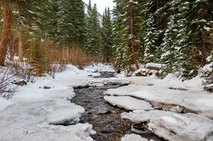 27 & 33 Fall Creek, Aspen, CO 81611 - Photo 16