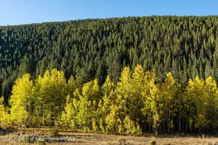 2450 North Fork Rd, Meredith, CO 81642 - Photo 34