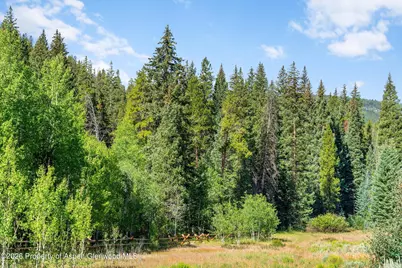 2450 North Fork Road, Meredith, CO 81642 - Photo 46