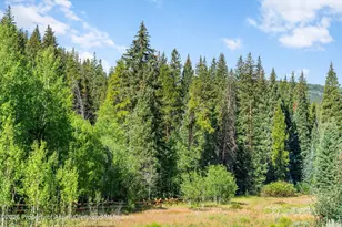 2450 North Fork Rd, Meredith, CO 81642 - Photo 46