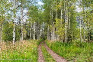 5387 Castle Creek Rd, Aspen, CO 81612 - Photo 38