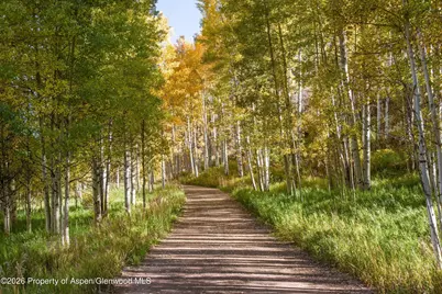 5387 Castle Creek Road, Aspen, CO 81612 - Photo 20