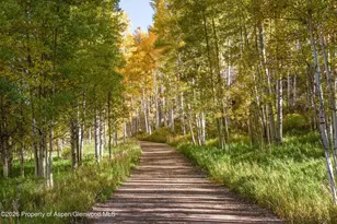 5387 Castle Creek Rd, Aspen, CO 81612 - Photo 20
