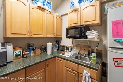 715 W Main Street #Units 201, 202 & 203, Aspen, CO 81611 - Photo 8
