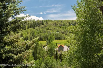 35 Upper Woodbridge Road #32ef, Snowmass Village, CO 81615 - Photo 8