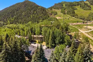 700 Ute Ave, Aspen, CO 81611 - Photo 32