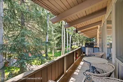 700 Ute Avenue #213, Aspen, CO 81611 - Photo 28