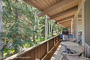 700 Ute Ave, Aspen, CO 81611 - Photo 28