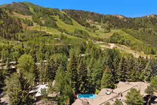 700 Ute Ave, Aspen, CO 81611 - Photo 30