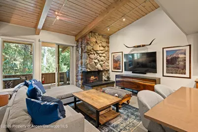 700 Ute Avenue #213, Aspen, CO 81611 - Photo 2
