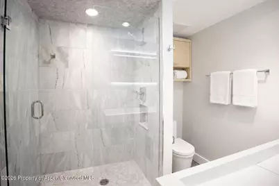 718 S Mill Street #7, Aspen, CO 81611 - Photo 8