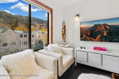 725 E Main Street #309, Aspen, CO 81611 - Photo 6