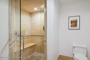 415 E Dean St Unit 45 Week 35, Aspen, CO 81611 - Photo 18