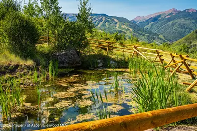 8500 & Tbd Snowmass Creek Road, Snowmass, CO 81654 - Photo 10