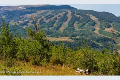 8500 & Tbd Snowmass Creek Road, Snowmass, CO 81654 - Photo 16
