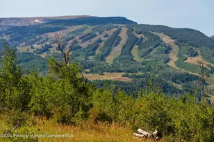 8500 & Tbd Snowmass Creek Rd, Snowmass, CO 81654 - Photo 16