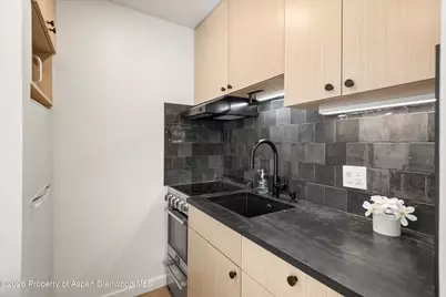 725 E Main Street #107, Aspen, CO 81611 - Photo 8