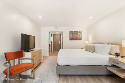 38750 Hwy 82 #1109, Aspen, CO 81611 - Photo 10
