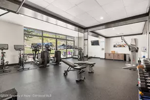 38750 Hwy 82, Aspen, CO 81611 - Photo 18