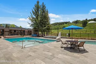 38750 Hwy 82, Aspen, CO 81611 - Photo 24