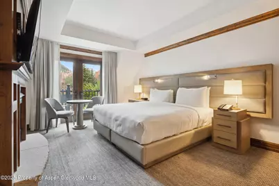 415 E Dean St, Unit 36, Week 33, Aspen, CO 81611 - Photo 16