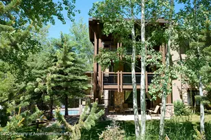 131 E Durant Ave, Aspen, CO 81611 - Photo 18