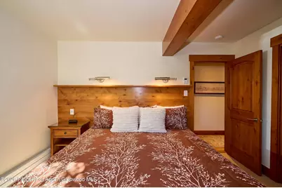 131 E Durant Avenue #410, Aspen, CO 81611 - Photo 8