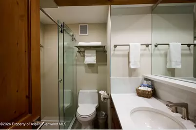 131 E Durant Avenue #410, Aspen, CO 81611 - Photo 10