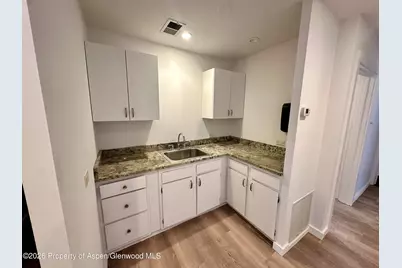420 W Main Street #101, Aspen, CO 81611 - Photo 4