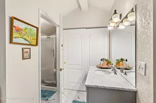 5203 Elk Ln, Basalt, CO 81621 - Photo 16