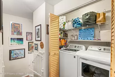 5203 Elk Lane, Basalt, CO 81621 - Photo 18