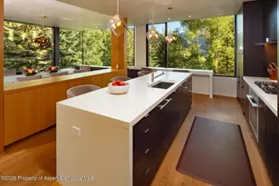 979 Red Mountain Rd, Aspen, CO 81611 - Photo 10