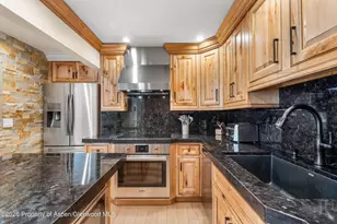 747 S Galena St, Aspen, CO 81611 - Photo 22