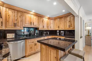 747 S Galena St, Aspen, CO 81611 - Photo 20
