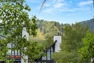 747 S Galena St, Aspen, CO 81611 - Photo 4
