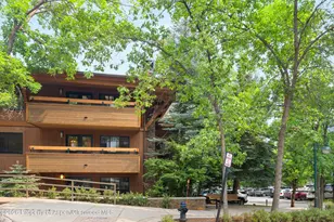 747 S Galena St, Aspen, CO 81611 - Photo 22