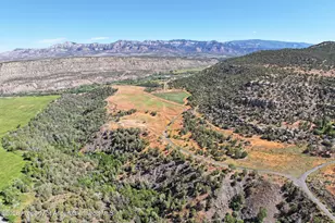 5402 KE Rd, Collbran, CO 81624 - Photo 1