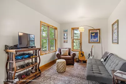 345 Elk Range Road, Carbondale, CO 81623 - Photo 18