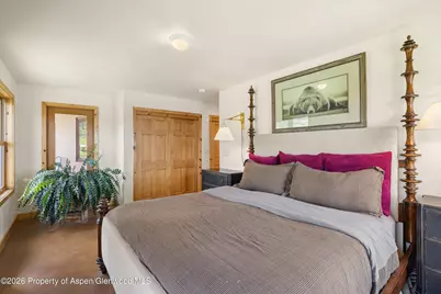 345 Elk Range Road, Carbondale, CO 81623 - Photo 14
