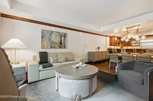 415 E Dean St Unit 23B Week 5, Aspen, CO 81611 - Photo 4
