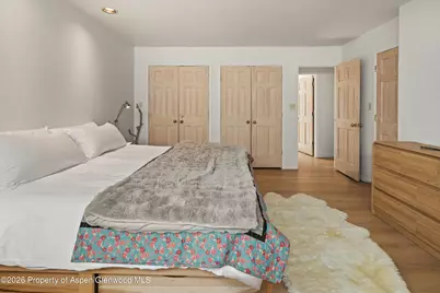 100 N Eigth Street #24, Aspen, CO 81611 - Photo 18
